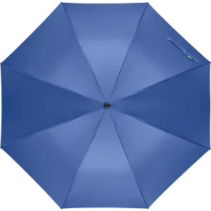 Auto-Open Windproof Umbrella