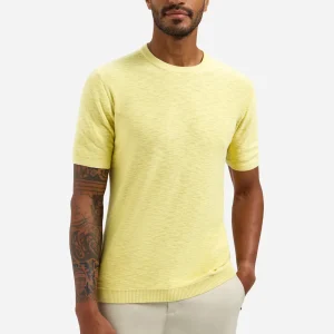 Polo flammé tricoté à boutons | Yellow