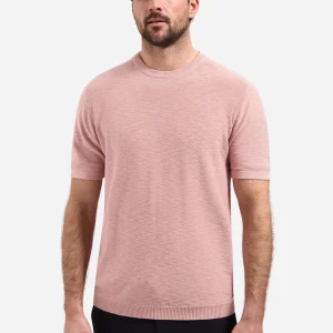 Polo flammé tricoté à boutons | Light Mauve